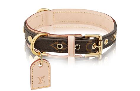 cani con vestiti louis vuitton|Le borse, i collari e i guinzagli per cani (e gatti) più griffati di .